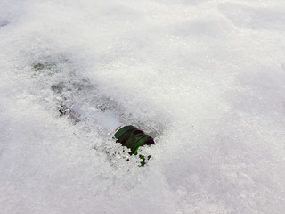 A snow bottle and gum on the snow in winter or spring