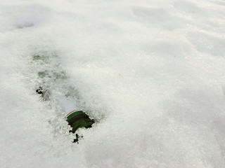 A snow bottle and gum on the snow in winter or spring