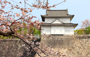 Fototapeta premium Sakura branches and a watch tower of Osaka Castle, Japan