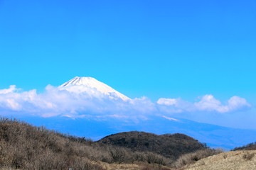 Sacred Mount Fuji (Fujiyama) in clouds, Japan