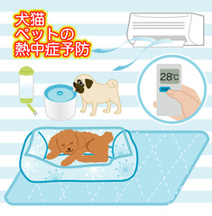 犬猫ペットの夏バテ熱中症予防対策グッズ