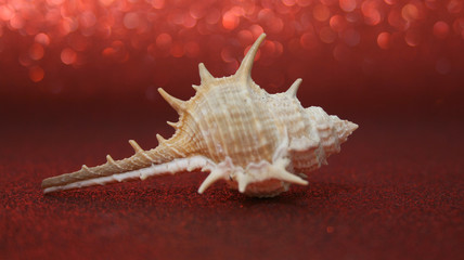 OCEAN'S MONSTERS