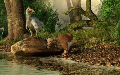 A couple of dodo birds, one brown, the other white drink on the shores of a river running through the tropical jungles of the island of Mauritia. 3D Rendering © Daniel Eskridge