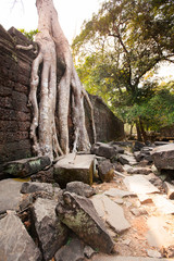 ruins of Preah Khan Temple (12th Century) in Angkor Wat (Siem Reap, Cambodia)