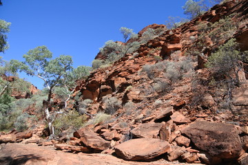 Felsblöcke am Creek Walk im Kings Canyon in Australien