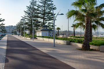 Fototapeta na wymiar Walkway with Trees and Plants along the Beach in Essaouira Morocco