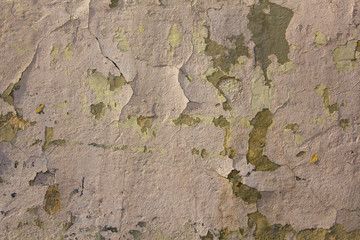 heavily damaged old white gray beige concrete wall with peeling paint and cracks. rough surface texture