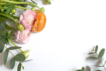 Frame of flowers, pink and orange ranunculus flowers and eucalyptus branches on white background. Flat lay, top view.