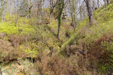 View of the rock formation on the tourist trail in the mountains of Snowdonia, Wales.