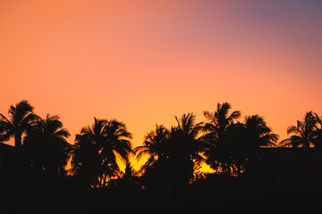 Beach sunset on Palm Beach Island