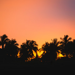 Obraz na płótnie Canvas Beach sunset on Palm Beach Island