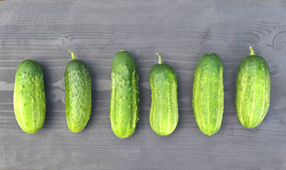 Fresh harvested green cucumbers