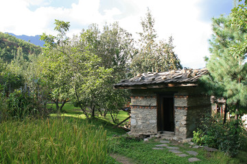 Fototapeta na wymiar shed in a garden in thimphu (bhutan)