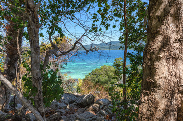 Trees and rocks with tropical sea