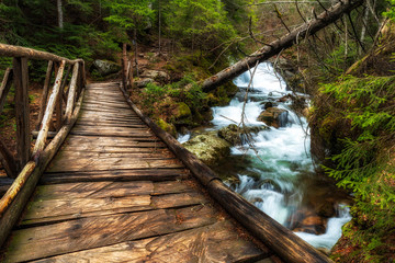 Obraz premium Wooden bridge in the forest. Canyon of waterfalls in Rhodope mountain, Bulgaria.