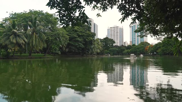 Lake in a large green Park in the center of metropolis. High trees and skyscrapers, the nature and urban area neighborhood 