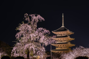 Temple of heaven "Toji". Kyoto, Japan