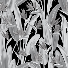 Tropical crane flower vector seamless pattern. Jungle plant paradise tropical summer fabric design. South African plant tropical blossom of crane flower, strelitzia. Floral textile print.