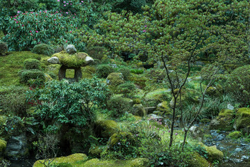 Traditional japanese garden in Sanzen-In. Kyoto, Japan