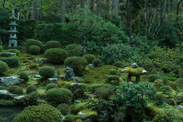 Japanese garden in Sanzen-In. kyoto, Japan