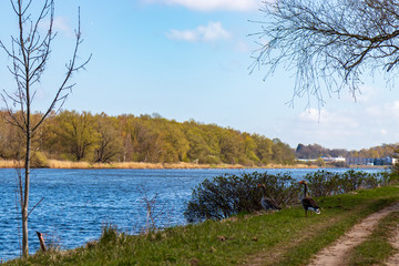 Schellbruch