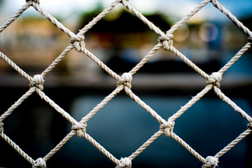White Netted Fence 
