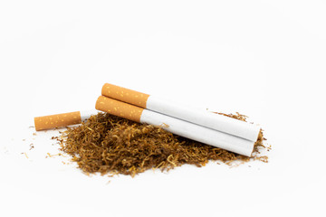 Cigars on a stack of natural tobacco on white background. Dried plant.
