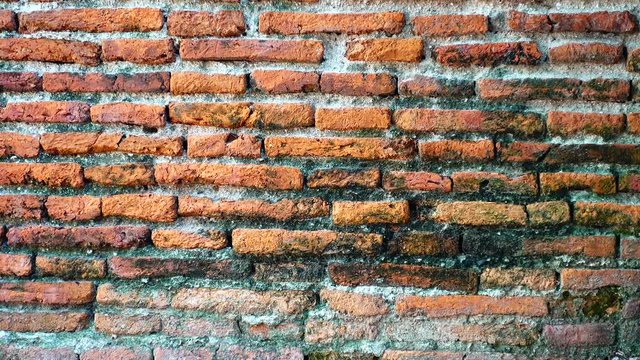 4K Grungy urban background of a brick old more than 150 years grungy texture grey concrete tree on wall texture patterns