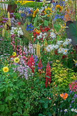 An exotic flower border with a large range of colourful flowers and plants making interesting plant combinations