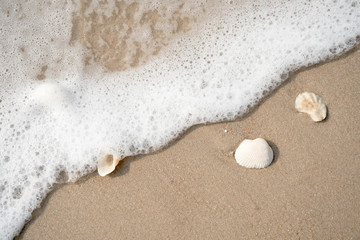 sea wave with bubbles on the sand beach