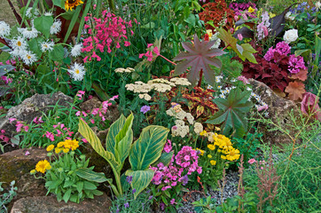 Fototapeta na wymiar An exotic flower border with a large range of colourful flowers and plants making interesting plant combinations