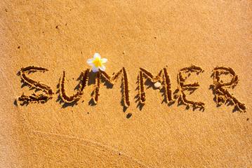 Word Summer written on beach sand with flower.