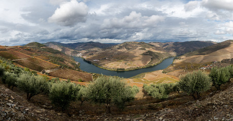 Fototapeta premium Douro - Portugal