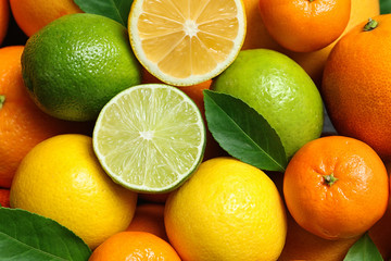Many different citrus fruits as background, top view
