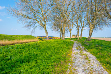 Canal in the countryside below a blue sky in sunlight in spring