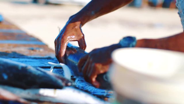 Slow motion close up of a local Caribbean fishermen cleaning a freshly caught Barracuda with a bucket of water and a brush in Bonaire