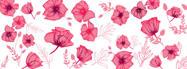 Sweet Poppies background