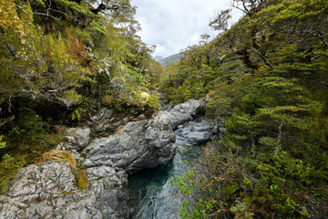 Bealey River Neuseeland