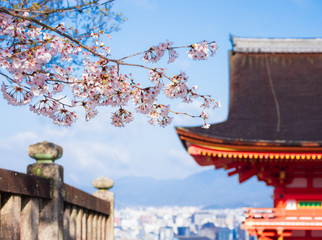 春・桜・京都イメージ