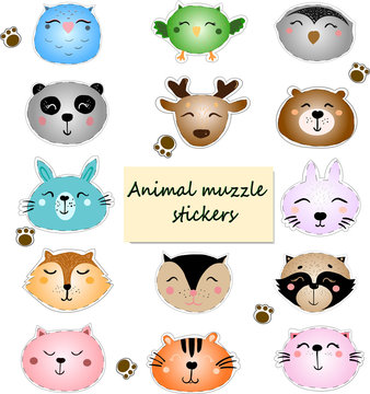 Stickers with cute animal muzzles. Wild animals portrait set with flat design. Vector illustration