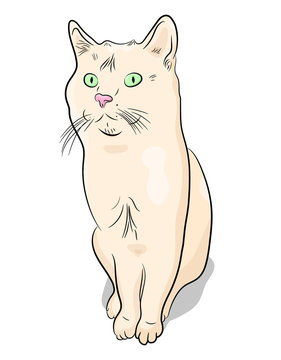 White cat hand-drawn. Vector illustration in cartoon style.