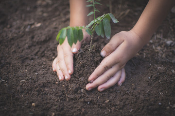 hand of children holding plant and soil with bokeh and nature background, save the world and World Environment Day concept at sunny day. subject is blurred