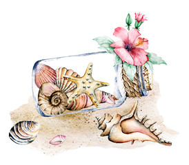 Seashells in glass jar, marine scenery. Watercolor flower, starfish and other shells on sea beach. Isolated on white background. Hand drawing. 