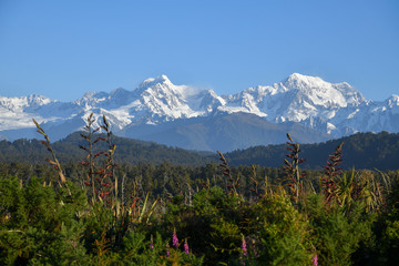 Alpen Neuseeland von Gillespies Beach