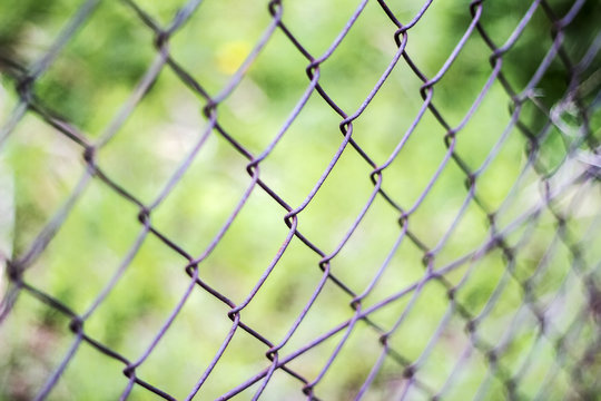 Fence netting, concept of limit for a fence to be locked. Close up pattern Barb Wire