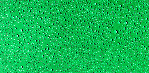 water drops on green background