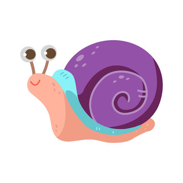 Cute snail on white background