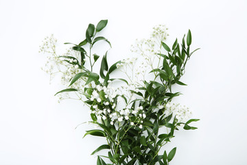 Gypsophila flowers and green leafs on white background