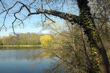 Obraz premium jungfernheide