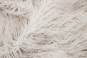 Texture of white shaggy fur.